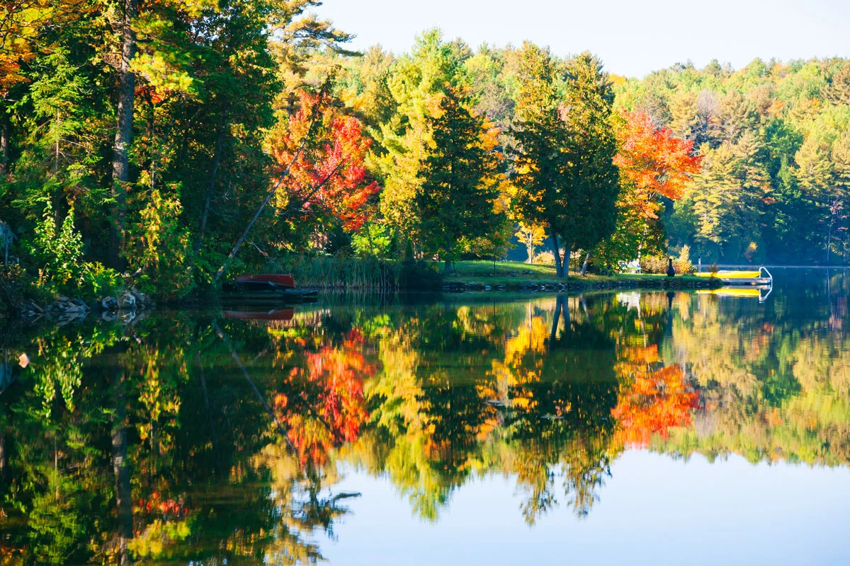 fall-trees-lake.jpg