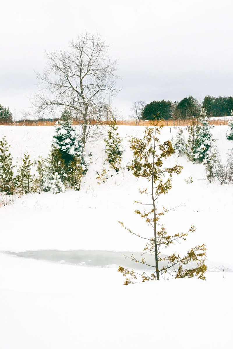 snow-river-winter.jpg