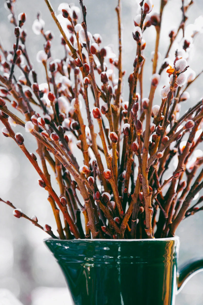 spring-willow-buds-green-vase.jpg