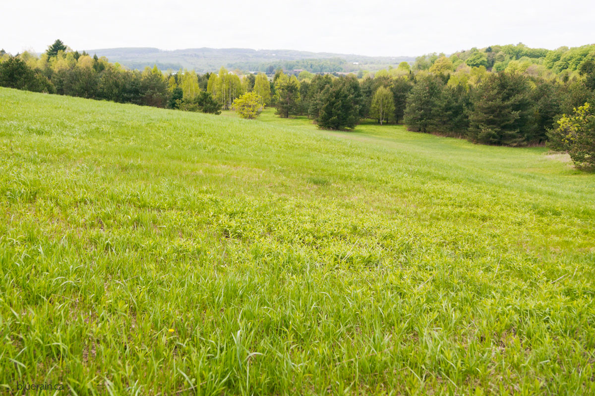 Views from where the house will be built