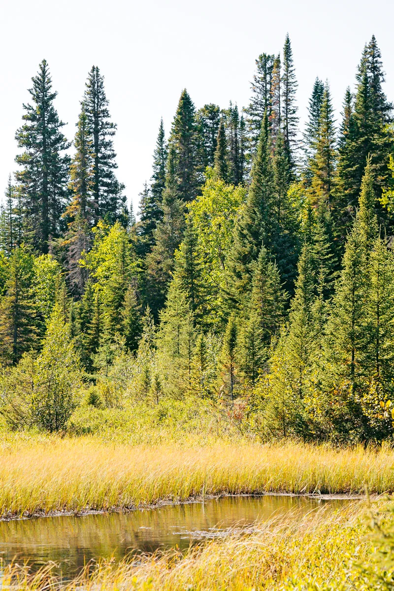 0907_5696ae.jpg