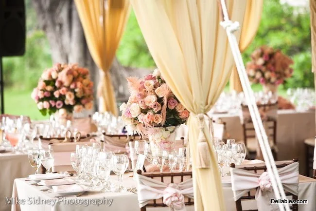 reception__021.jpg