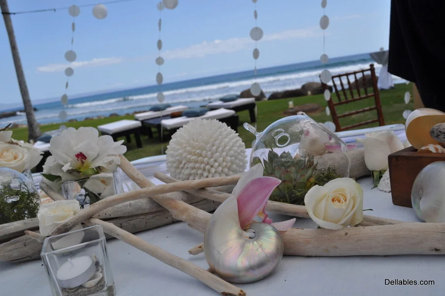 reception__048.jpg