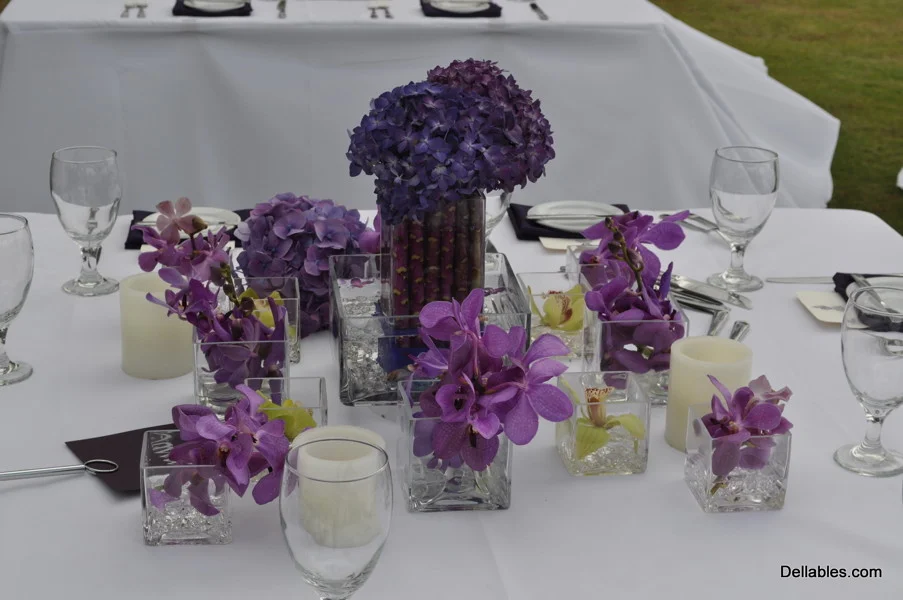 reception__050.jpg