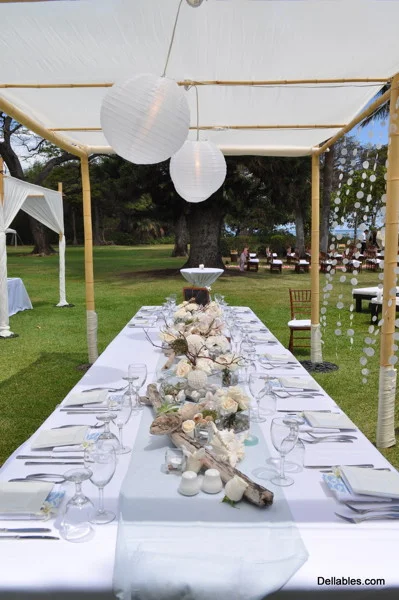 reception__059.jpg