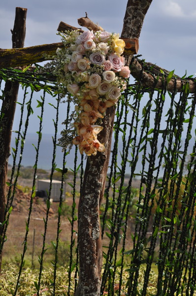 fw_kiaweroses__002.jpg