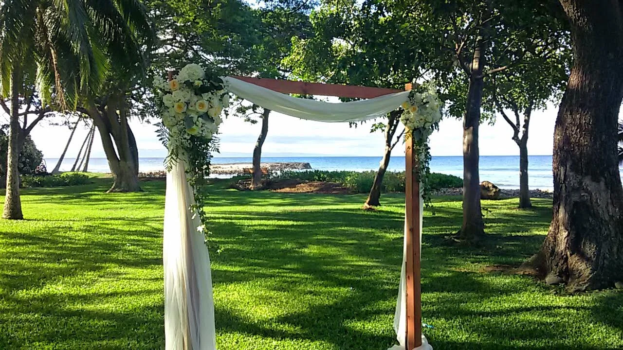 arch.olowalu.jpg