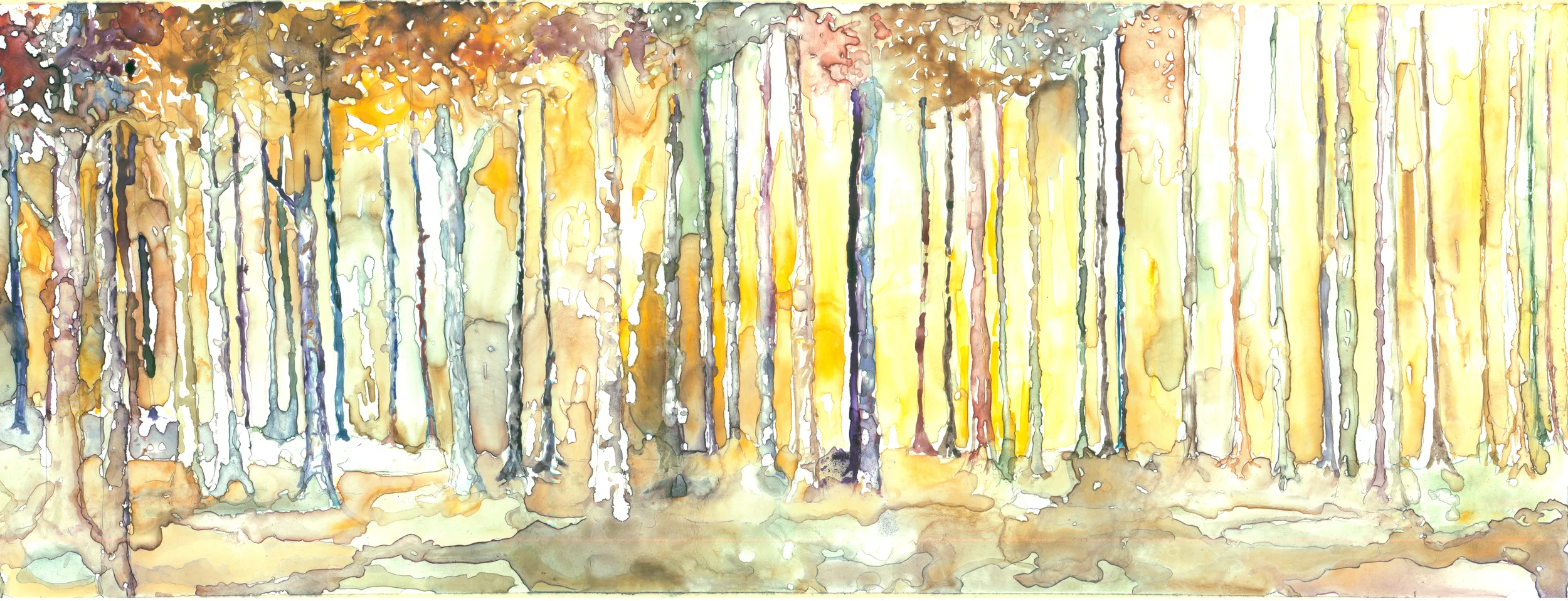 thicket1.jpg