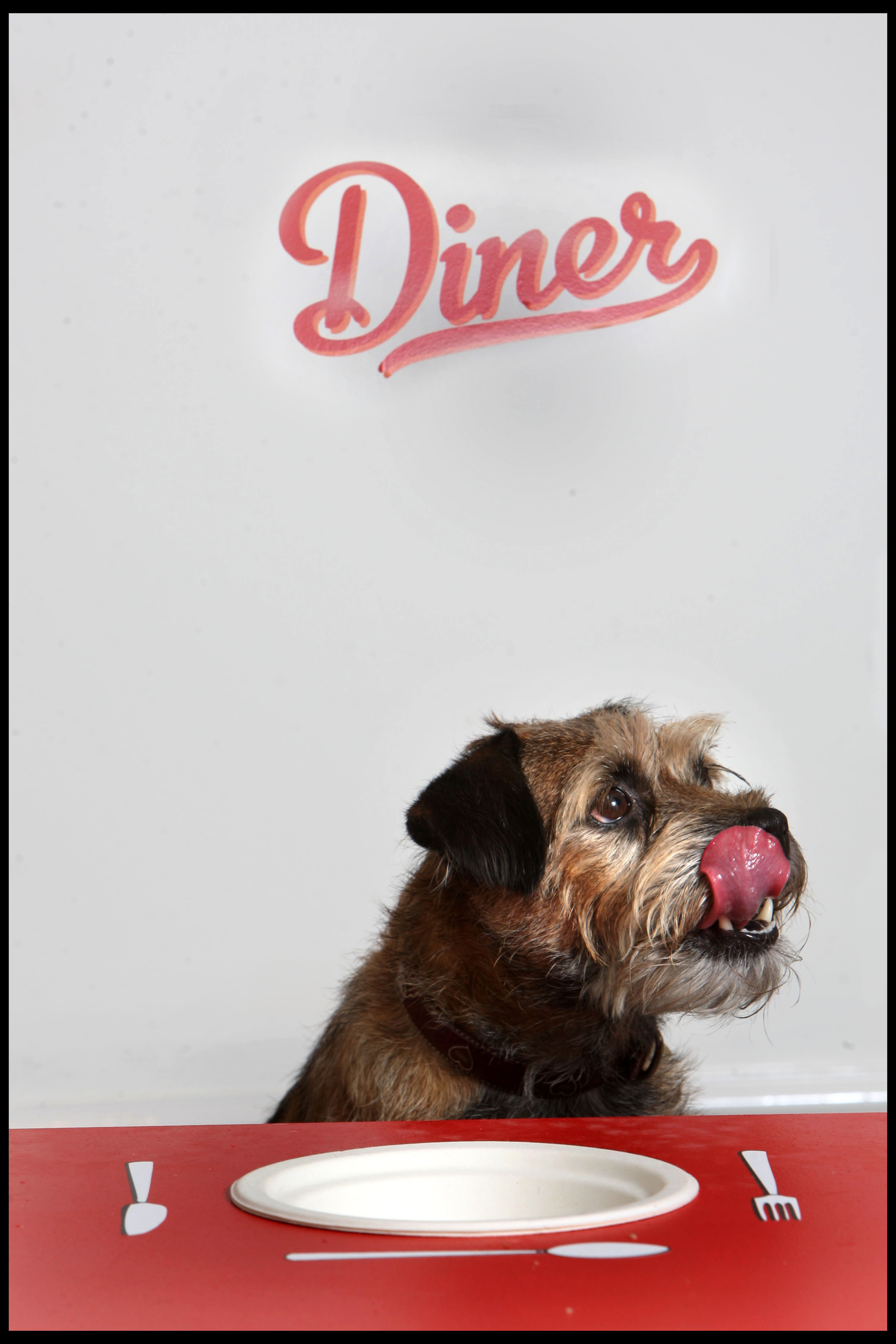 Lily at the pop up restaurant for dogs, Lily's kitchen, London