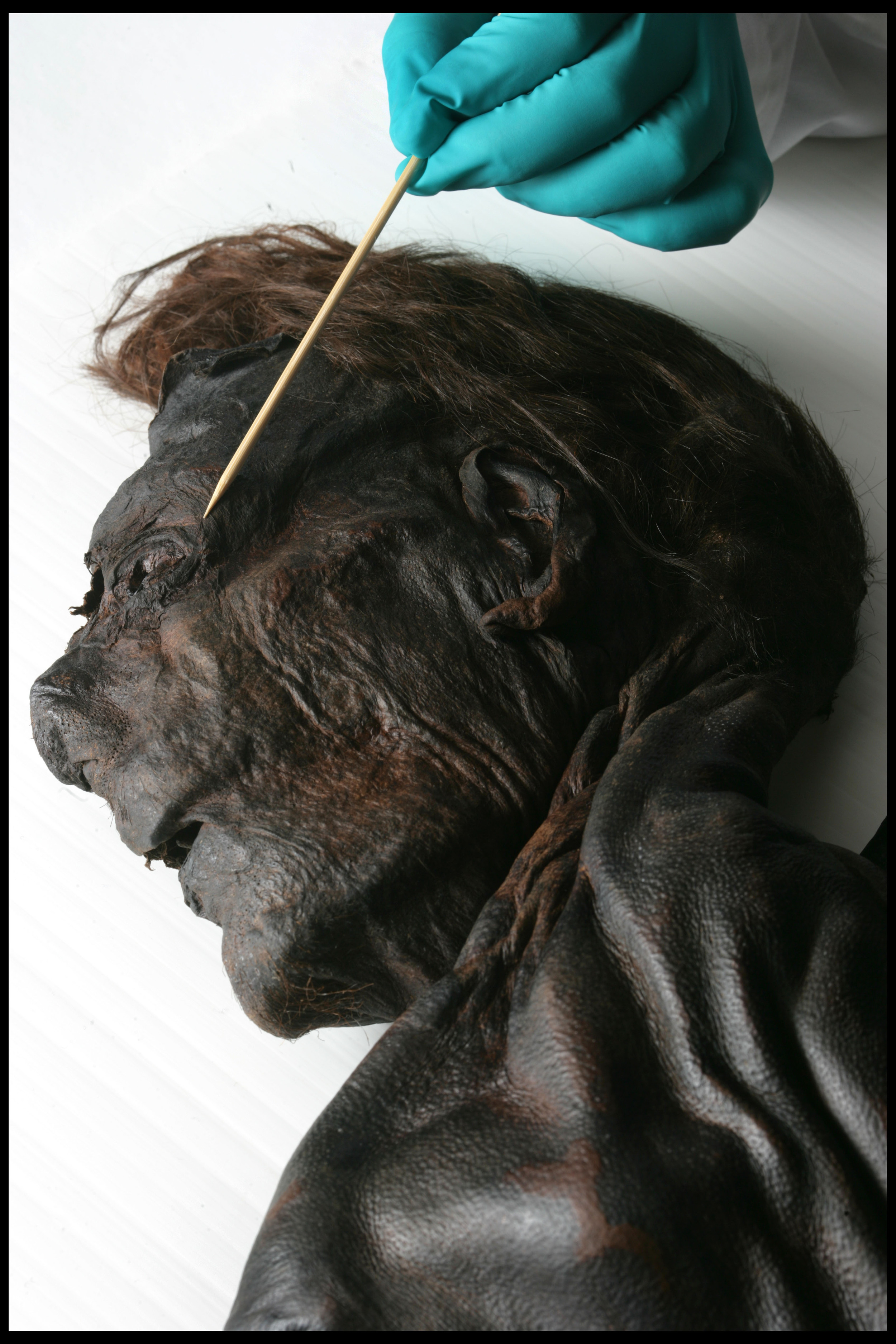 Clonycavan man, found in a bog in Co. Meath believed to date from 392-201 BC