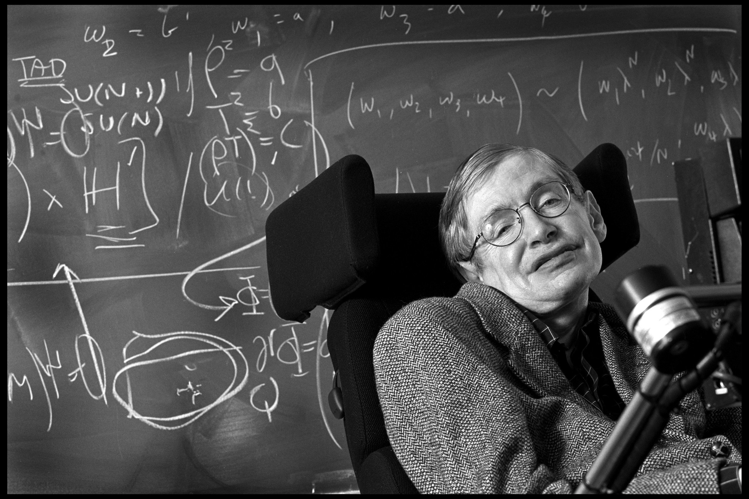 Professor Stephen Hawking, astrophysicist