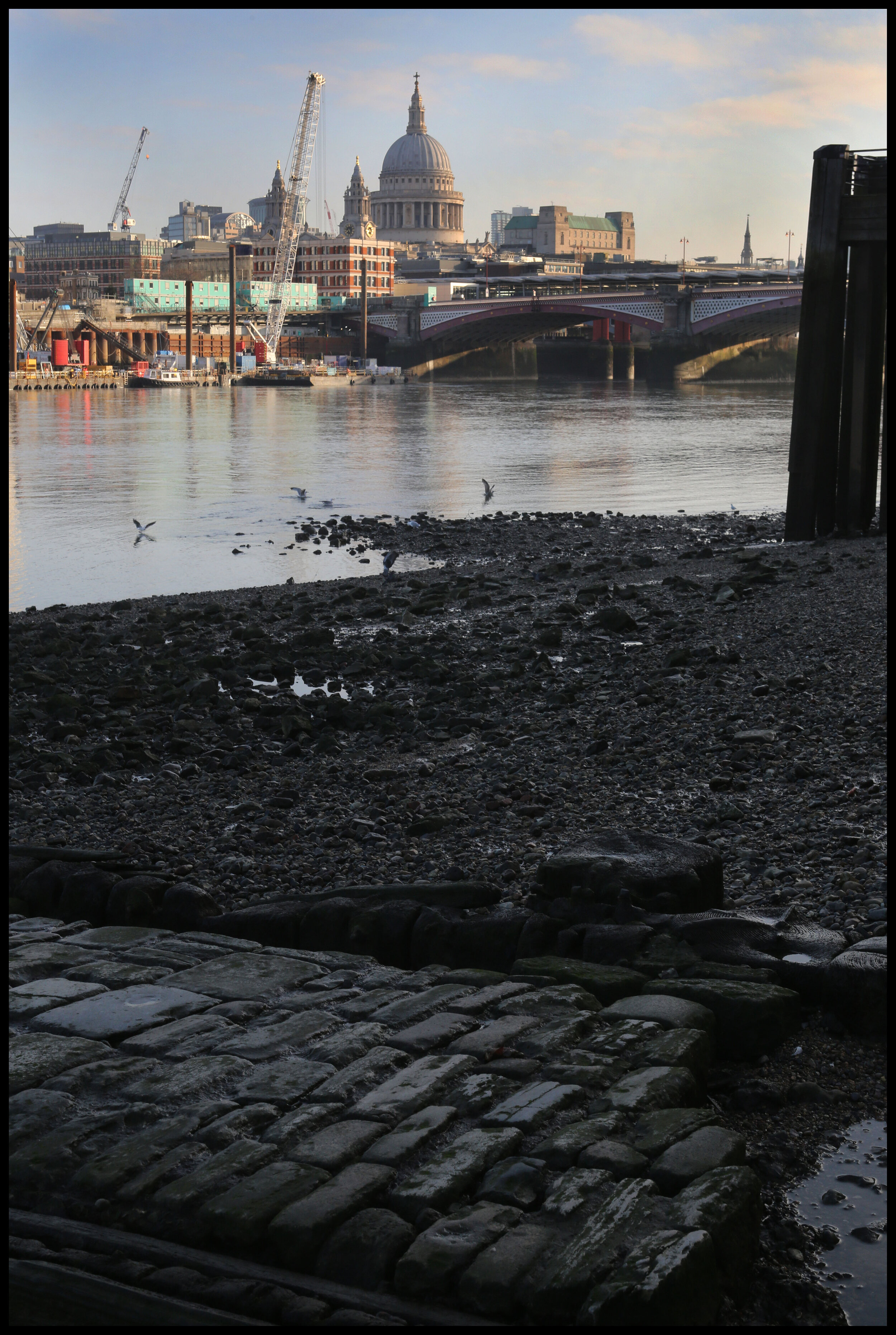 St Paul's viewed from the Thames at low tide, London