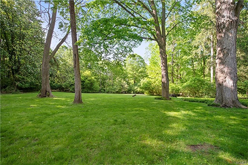 Lawn