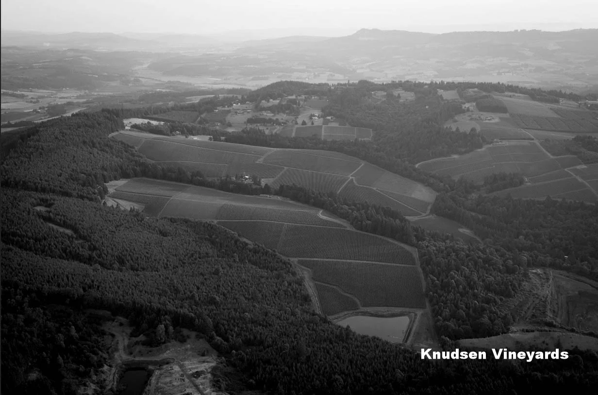 Knudsen Vineyards