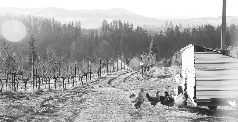 Hiyu Wine Farm