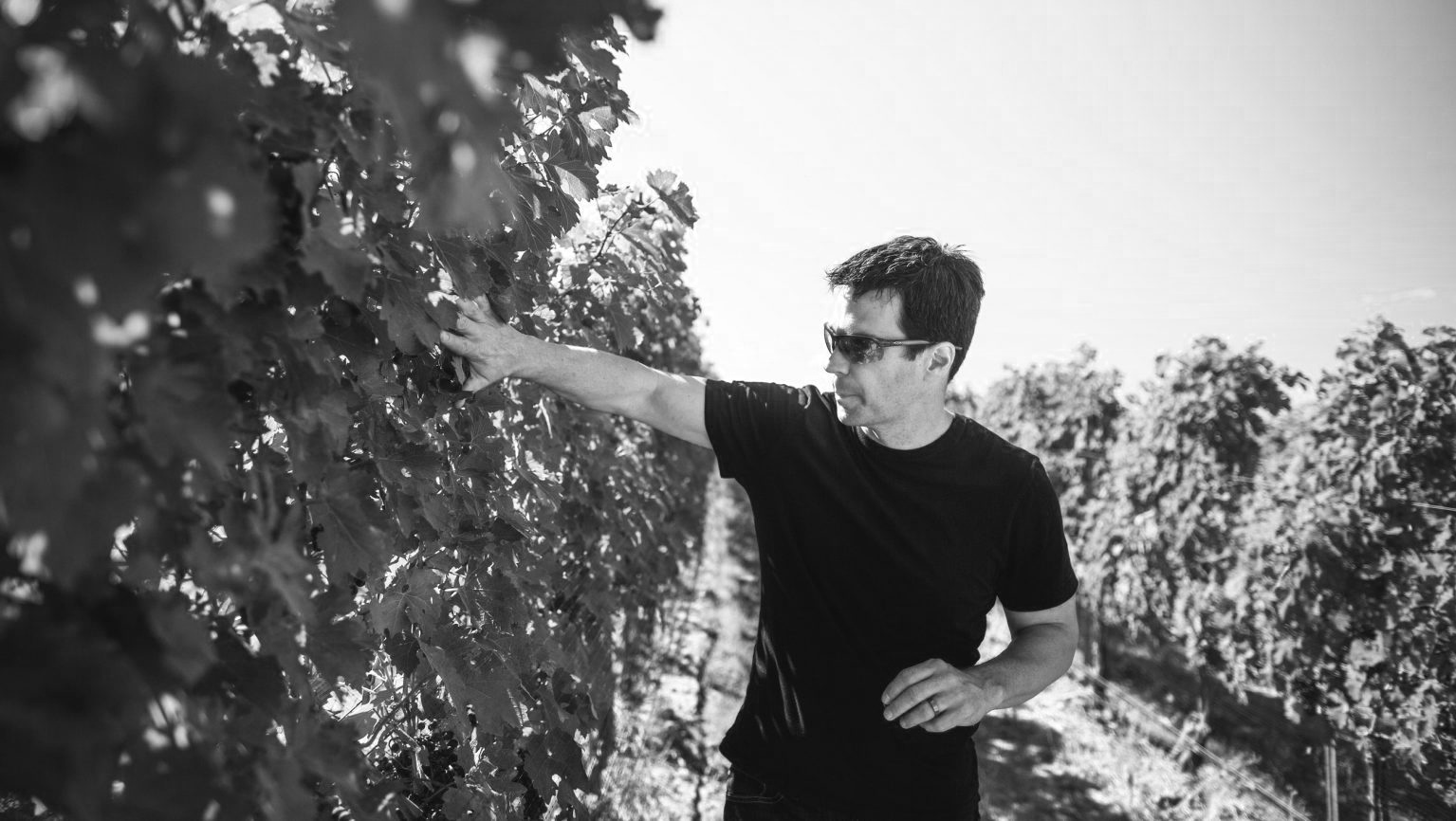 SFD_Washington_Wine_1_Greg_Harrington_CR_c-o_Gramercy_Cellars_2520x1420-1536x866.jpg