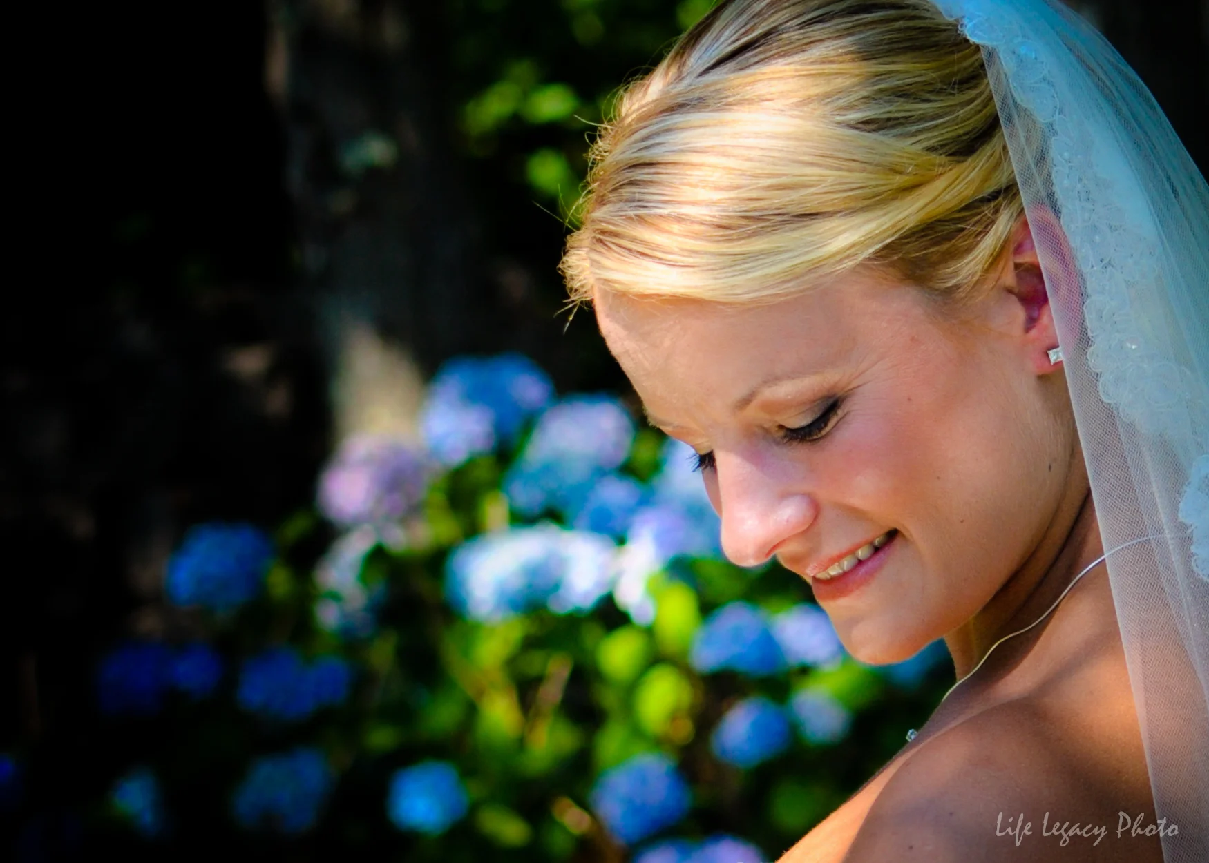 DSC_0483-2.jpg