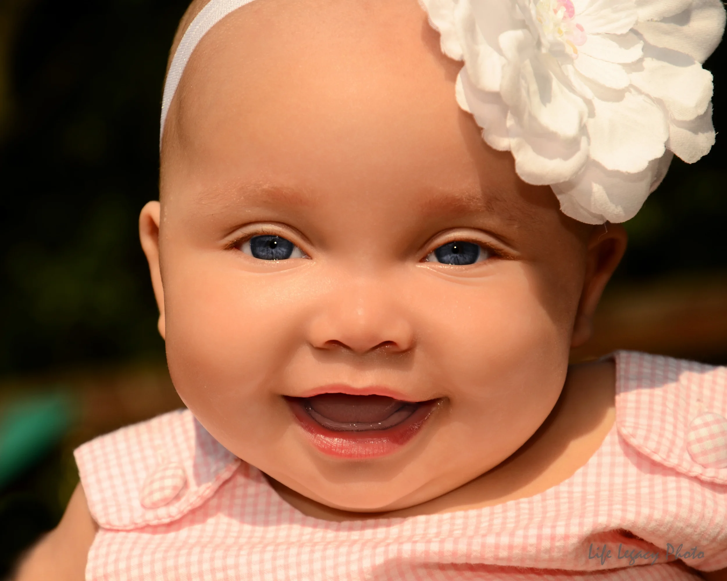 D7K_0377-Edit.jpg