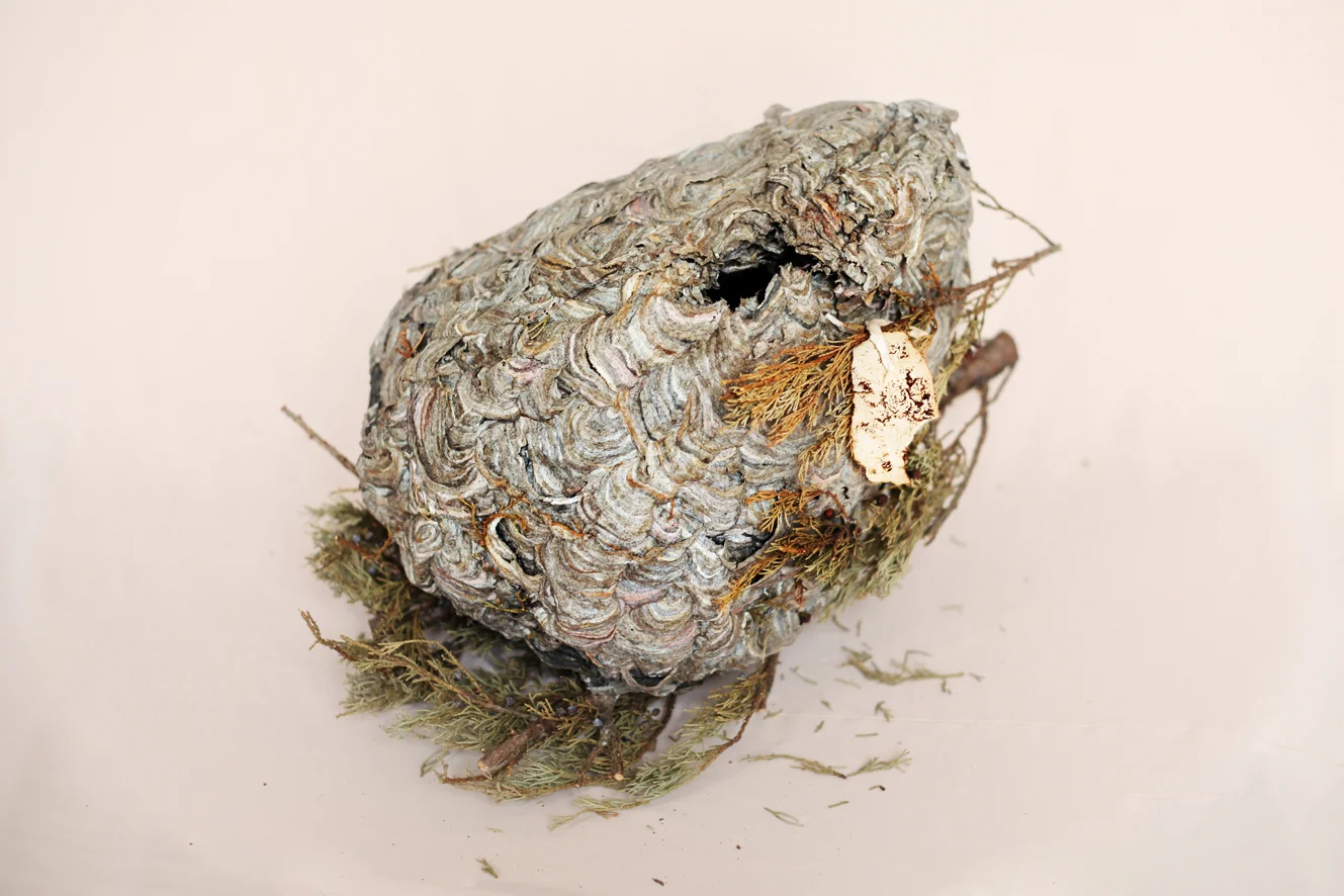 womb nest 1 smaller.jpg