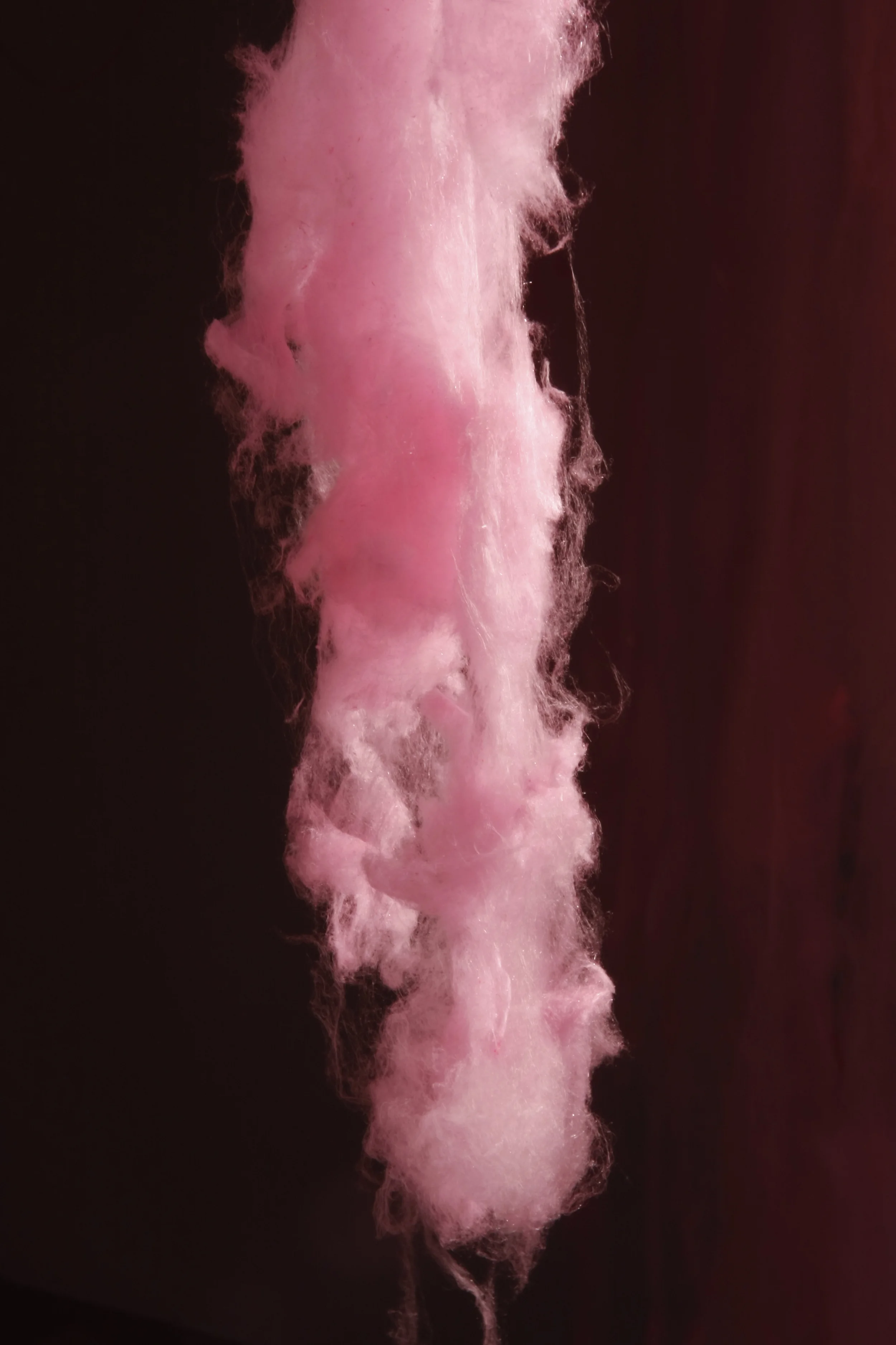 Pink Heaven. Photo: P D Rearick