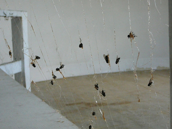 Harp of gold hot glue with flies, set into stair balustrade.