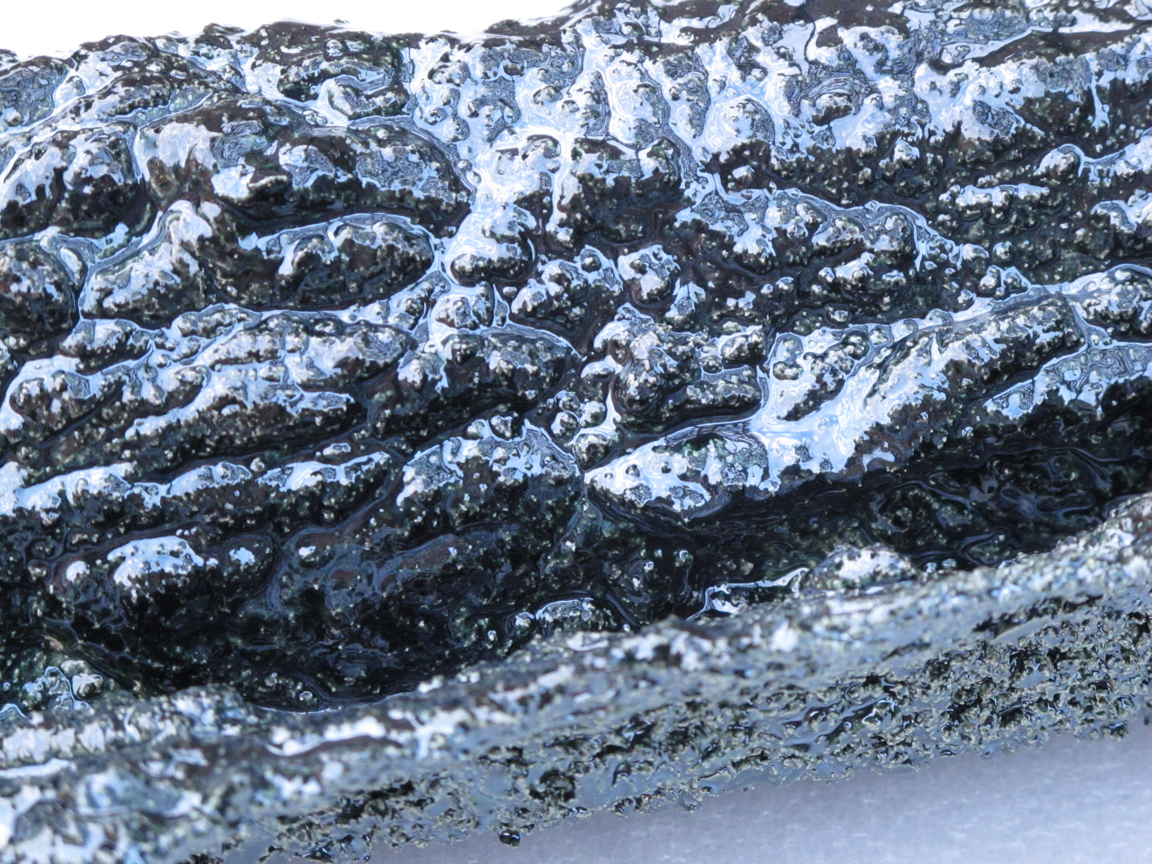 Flying Clay: Blue-Black, 2013 detail