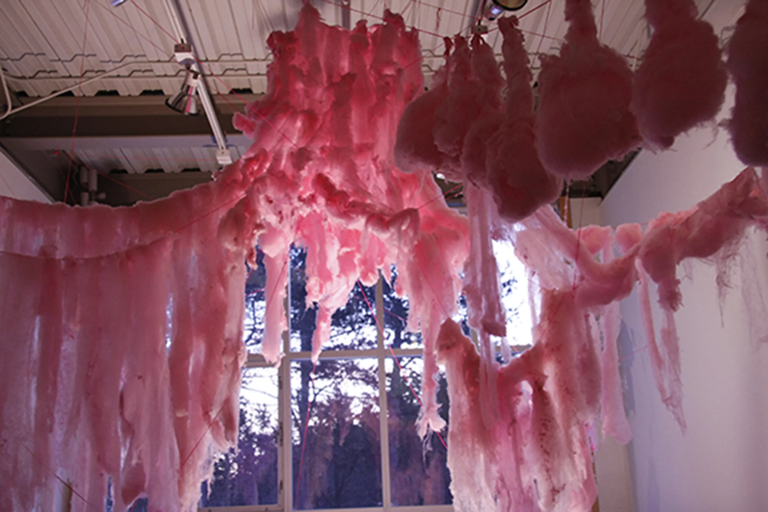 Pink Heaven, 2009. Sugar, mason twine. Photo: P.D. Rearick