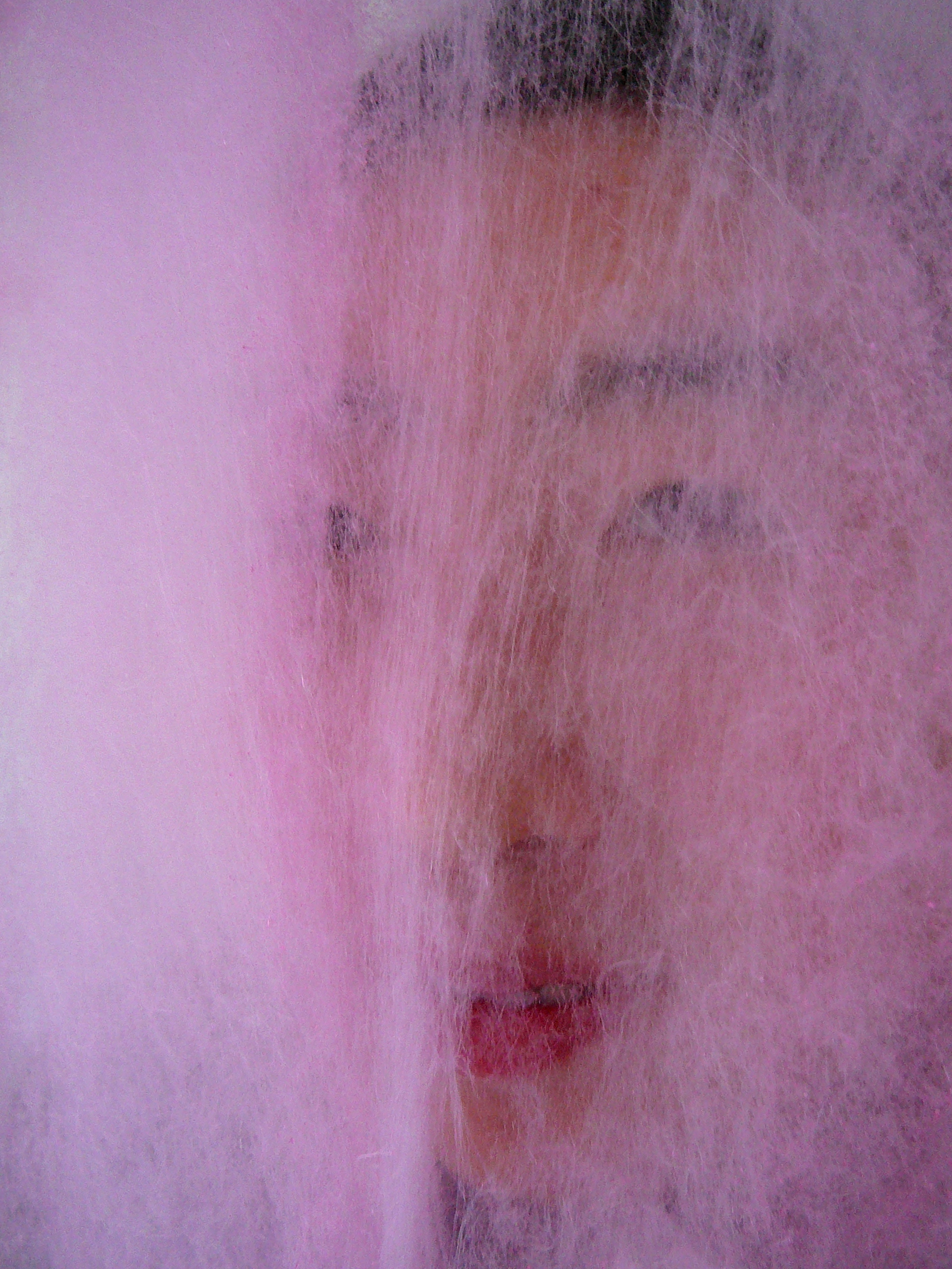 Cranbrook classmate JaYoung Yoon seen through gauze of sugar