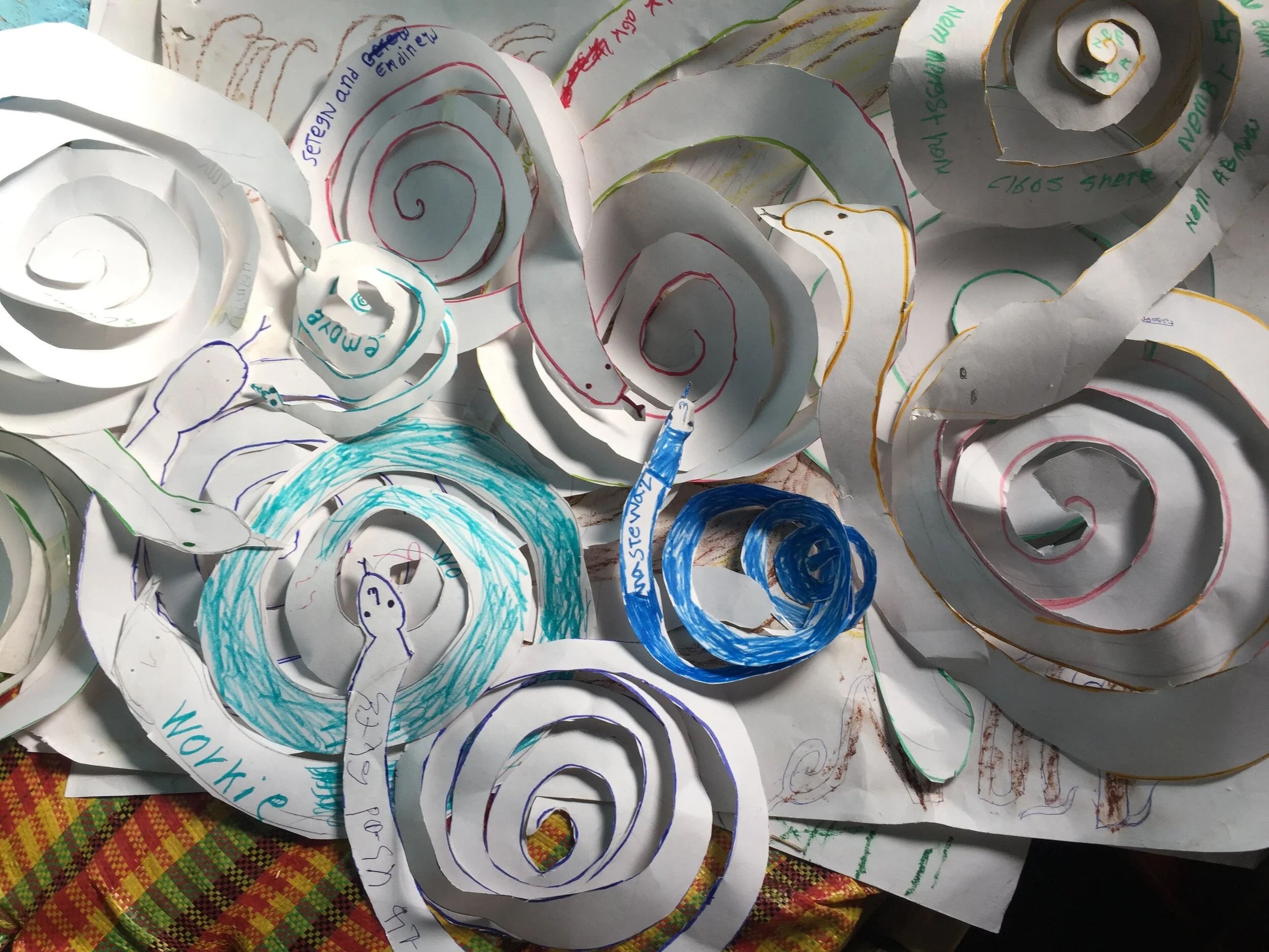 paper reptiles await coloring