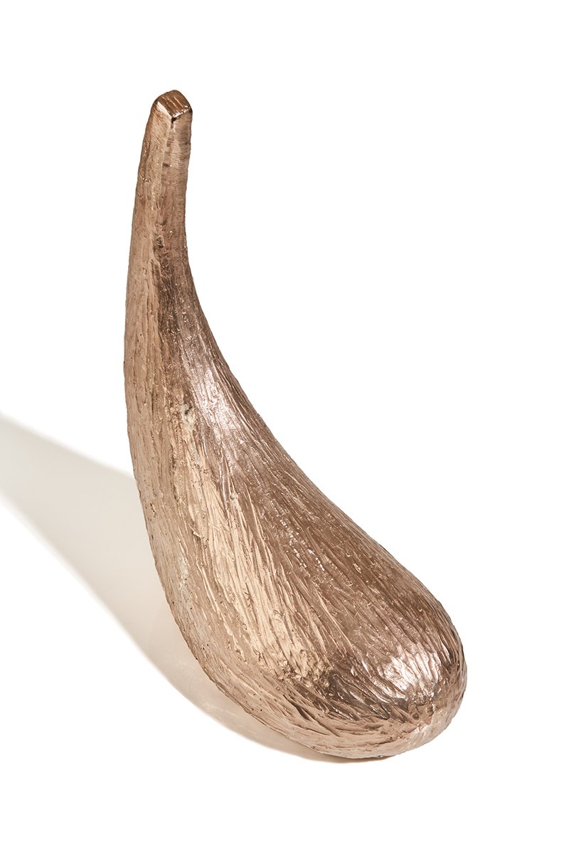 The Unthought Known (three-quarter view) 800 x 1200.jpg