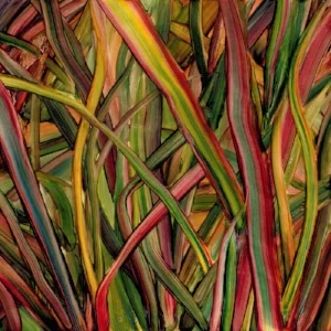 gengahr-where_wildness_grows-1080__large.jpg
