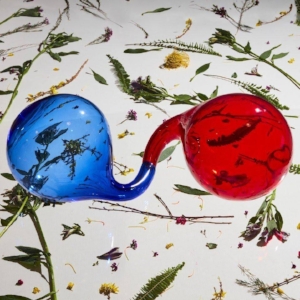 dirty-projectors-lamp-lit-prose.jpg
