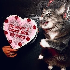 instant crush - cover.jpg