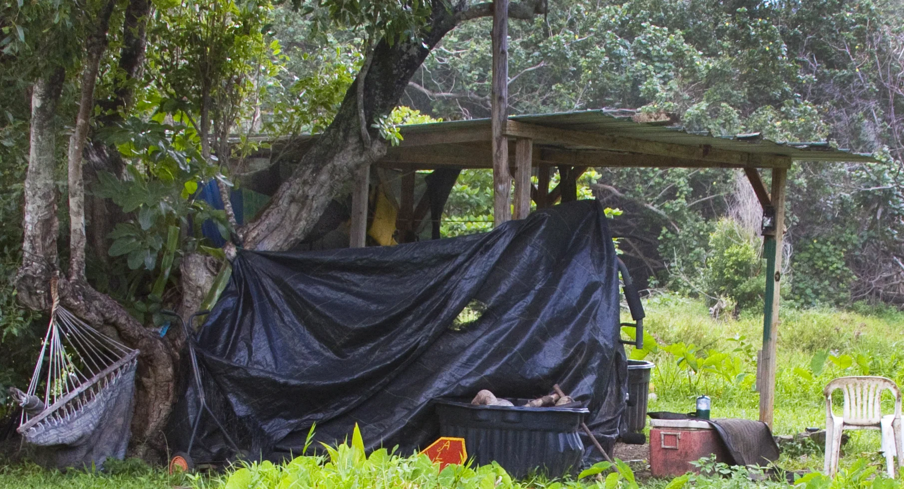 Photo of an actual squatter encampment in Kaua’i (Note the incongruous lawnmower in the lower left)