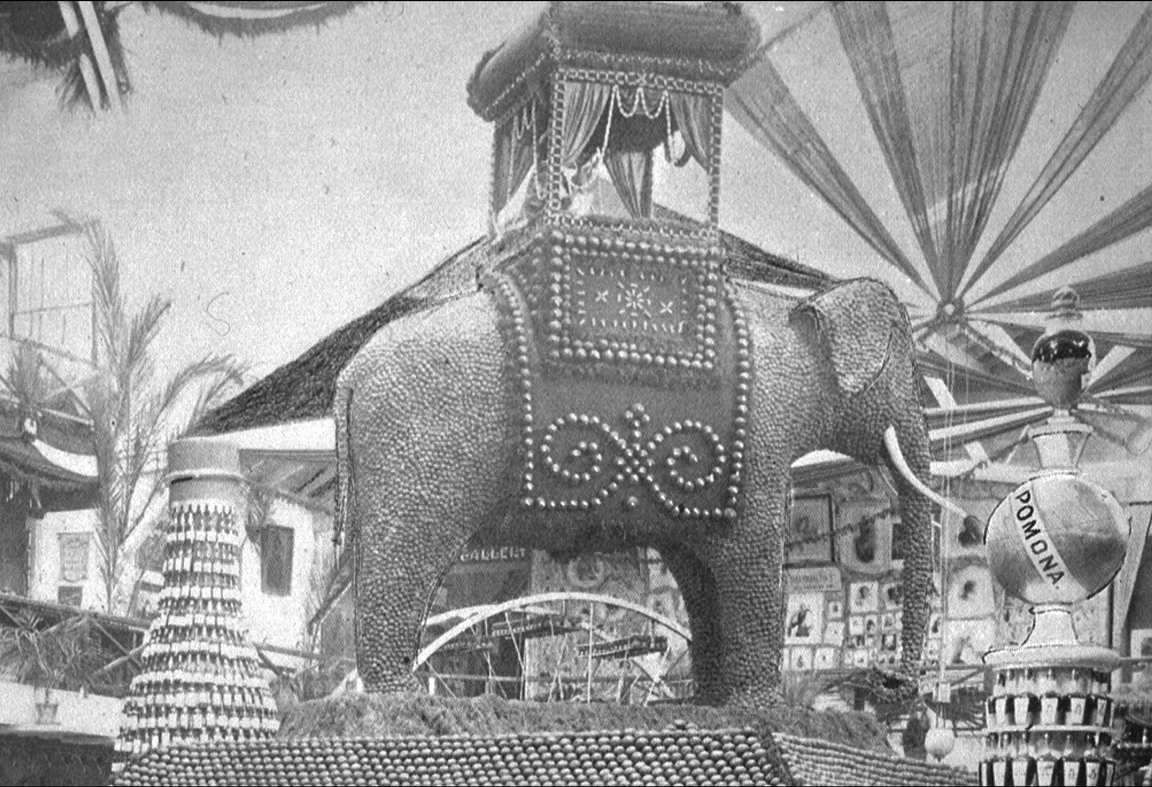 THE WALNUT ELEPHANT