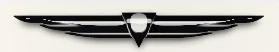 Black Glass Deco ornament.jpg