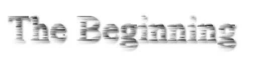 The Beginning squarespace.jpg