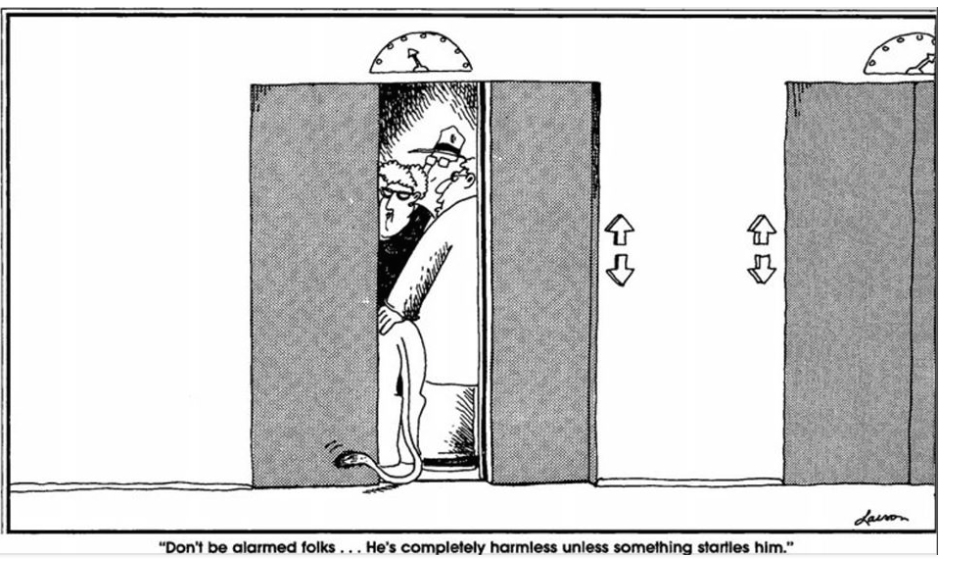 Image result for far side"