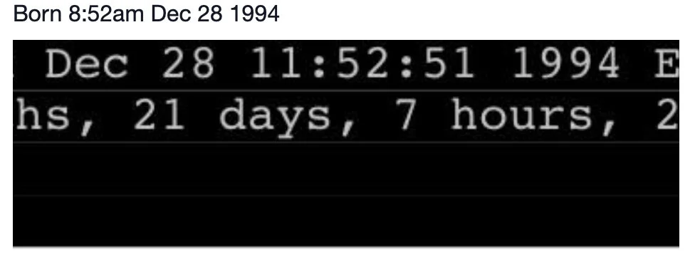 BayMOO Birthdate.jpg