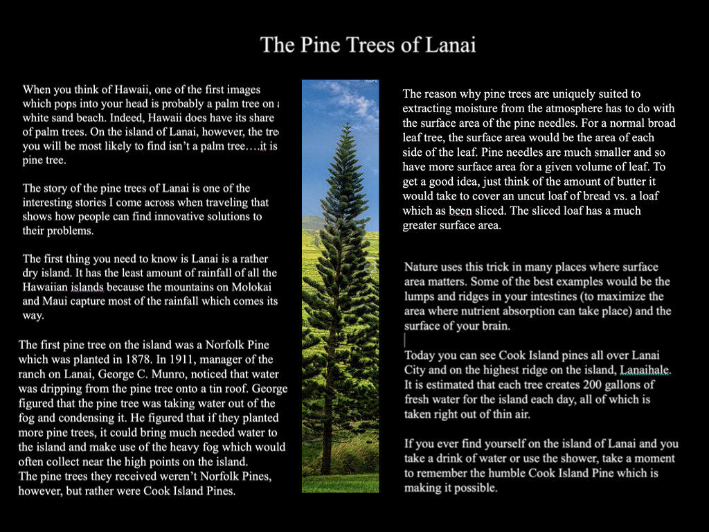 The Araucaria Presentation.018.jpeg