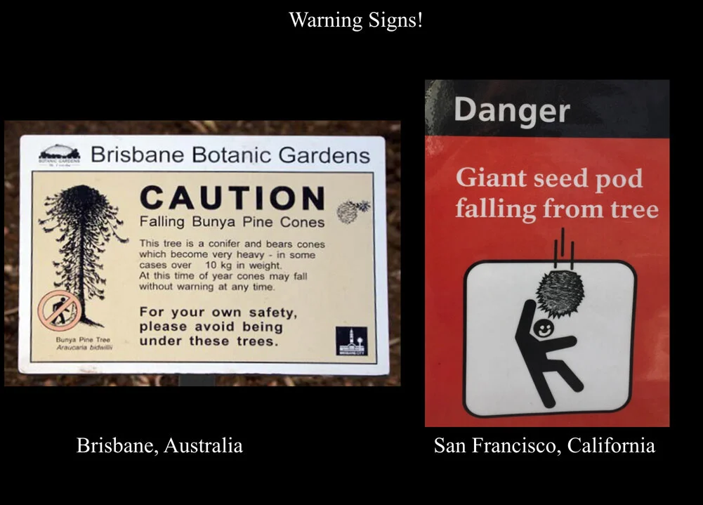 Bunya Warning Signs.jpg