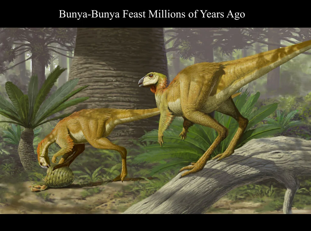 Dinosaur Bunya Feast.jpg