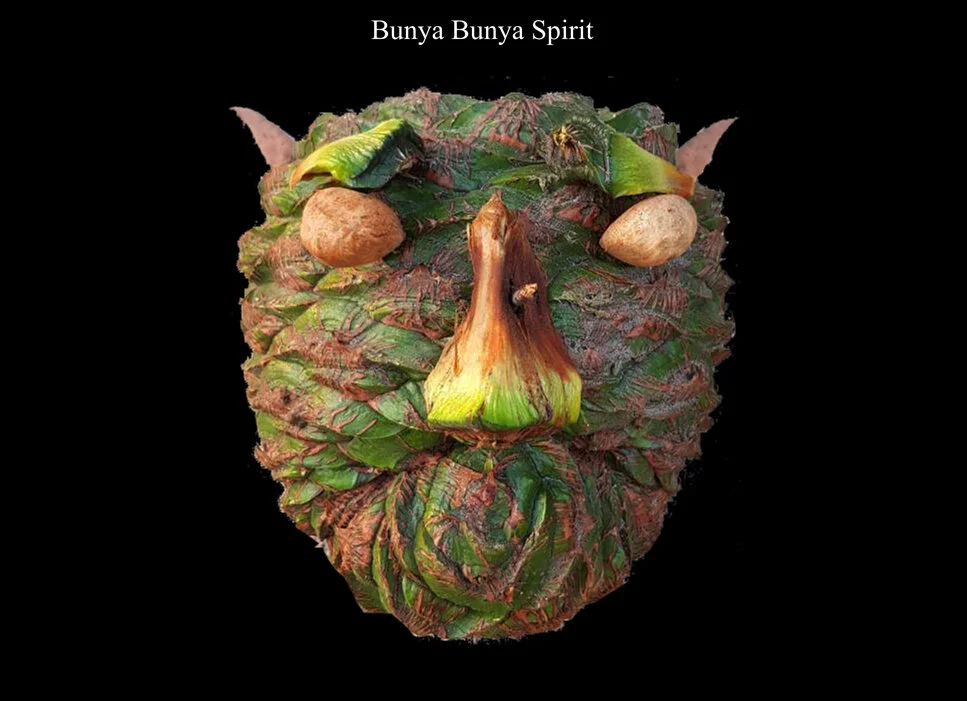 Bunya Spirit.jpg