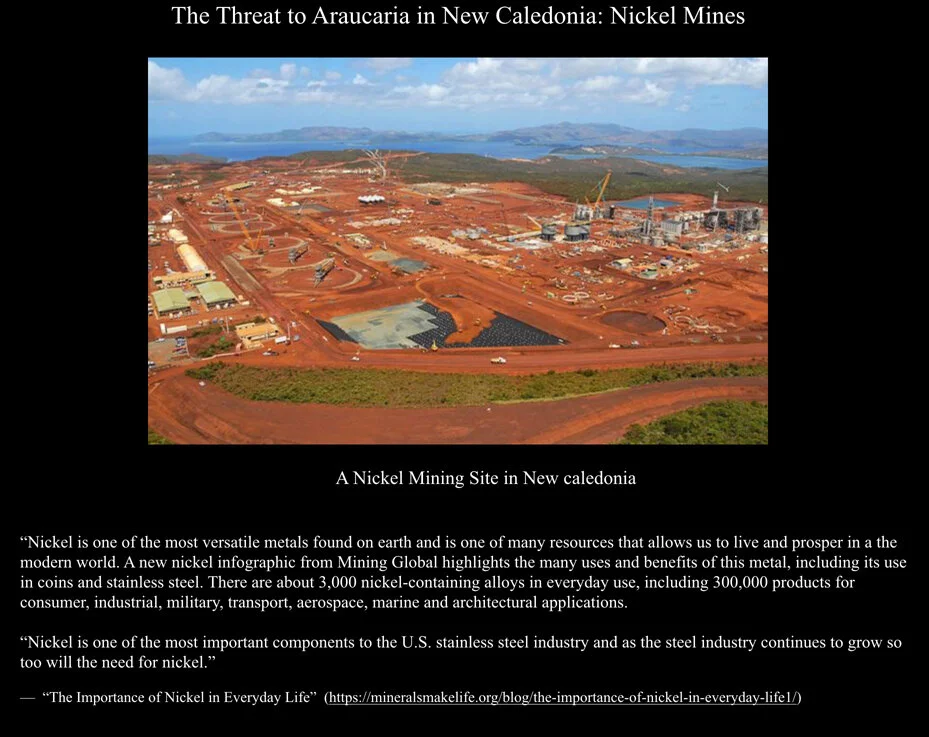 Nickel Mines.jpg