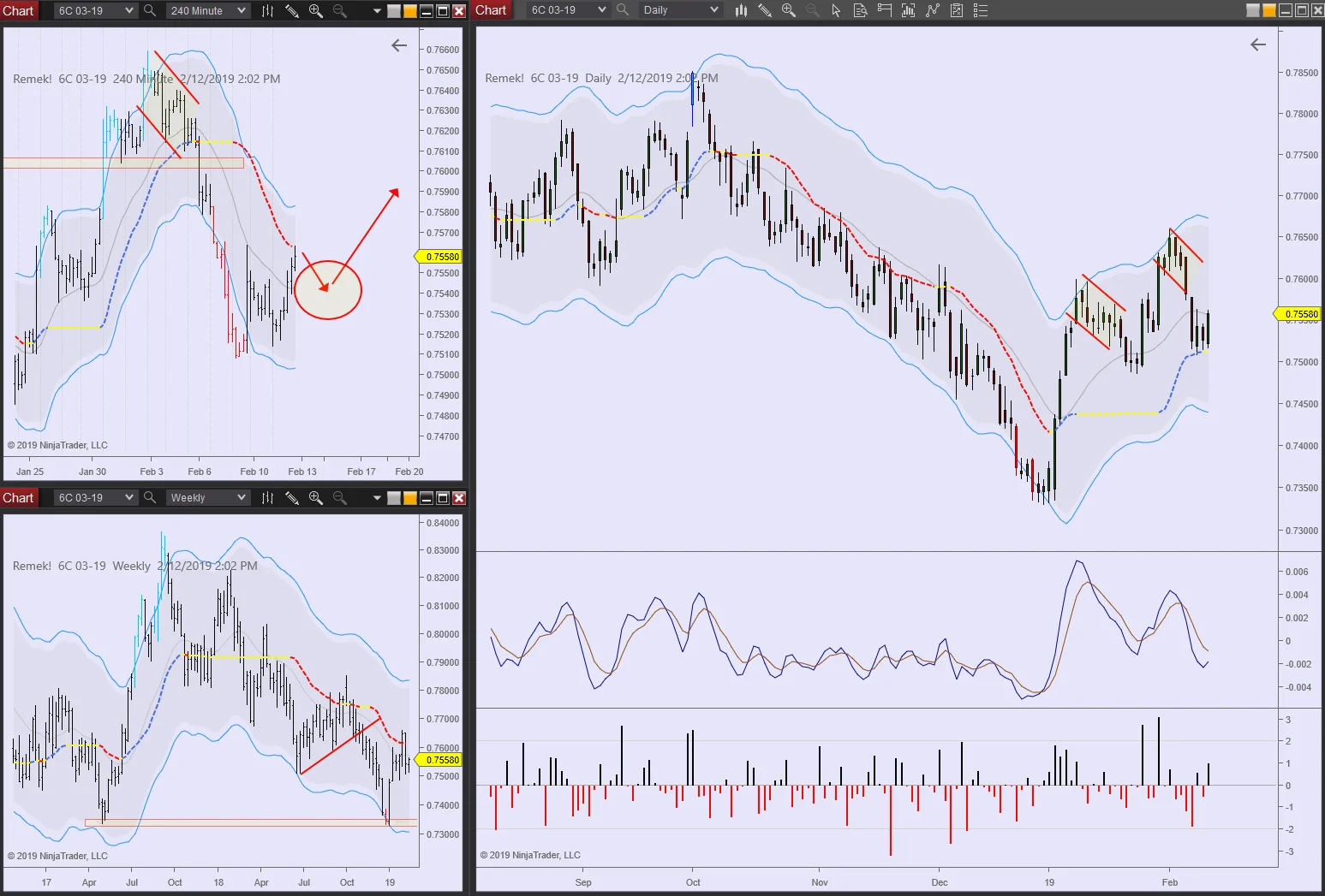 6C 2019 02 12 - with the weak hands gone, this could become a meaningful move