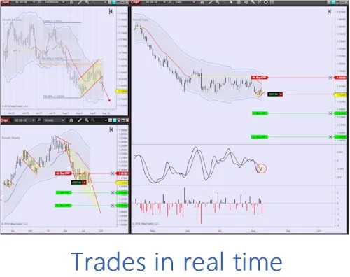 trades in real time.jpg