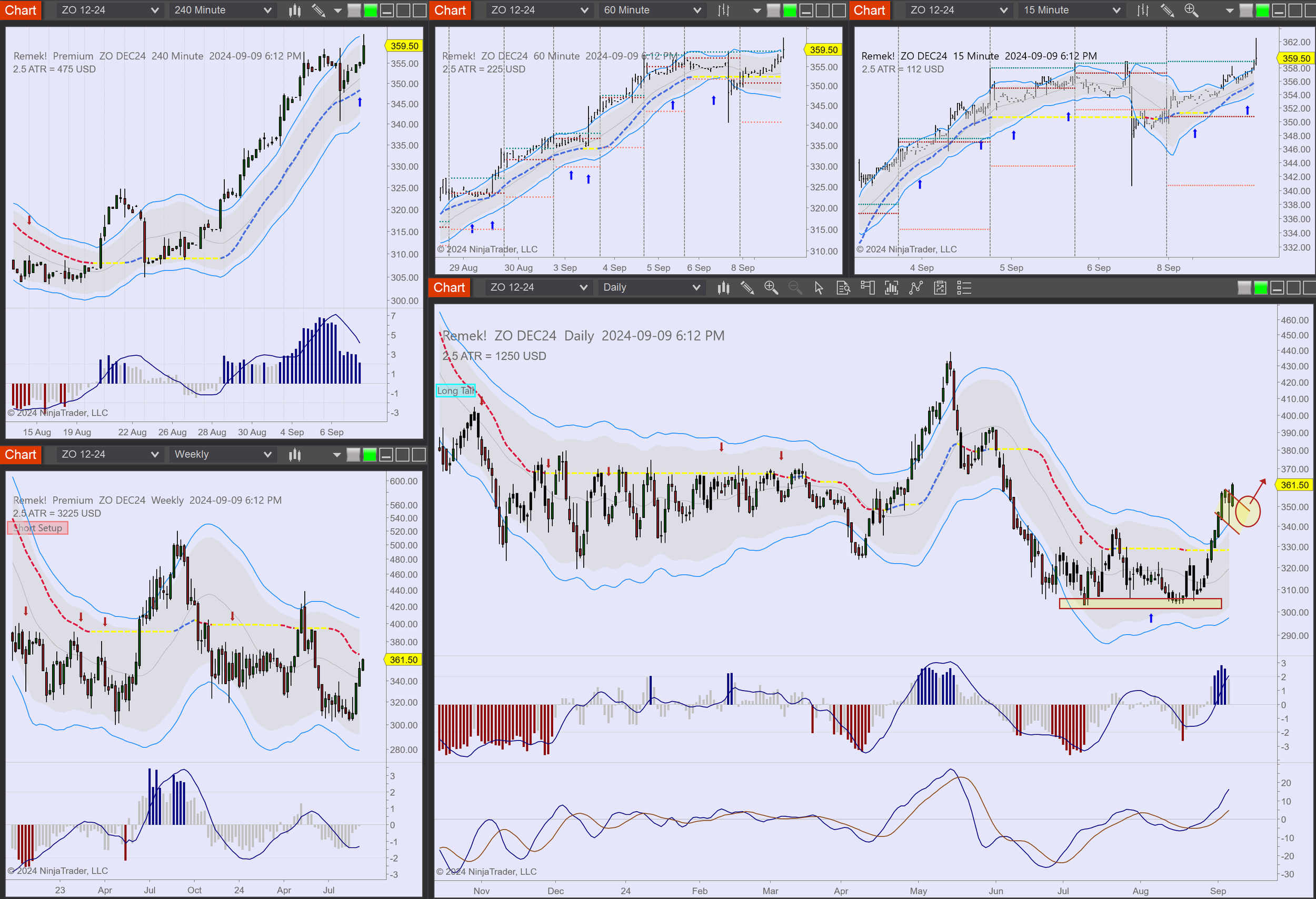 2024-09-09 18_12_02-Chart - ZO DEC24 ZO DEC24 Daily.png