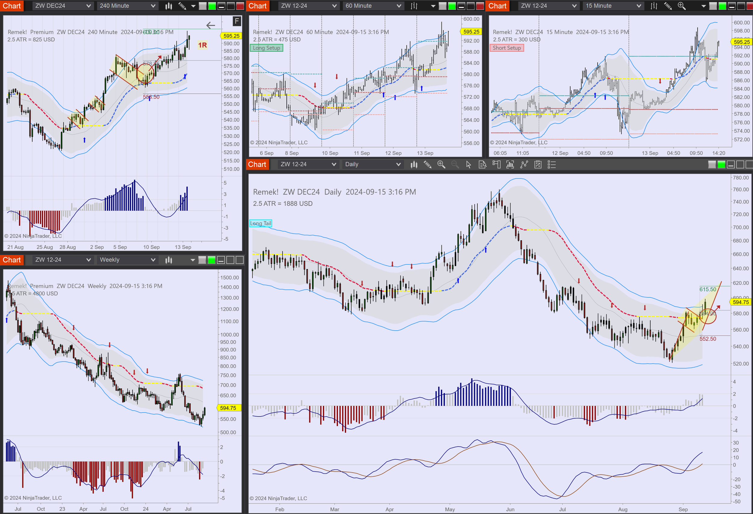 2024-09-15 15_16_32-Chart - ZW DEC24 ZW DEC24 Daily.png