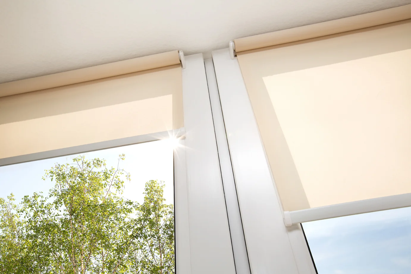 Roller Shade Window 72dpi.jpg