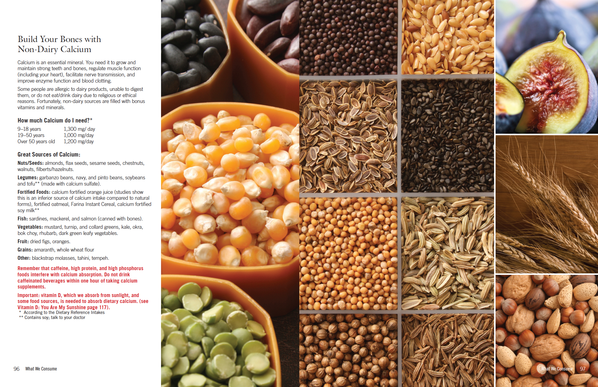 hlp_spread_08.jpg